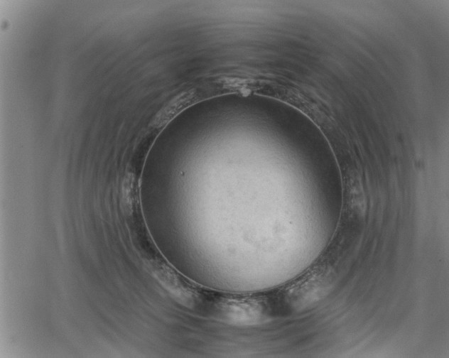 X0000067520275200604101334