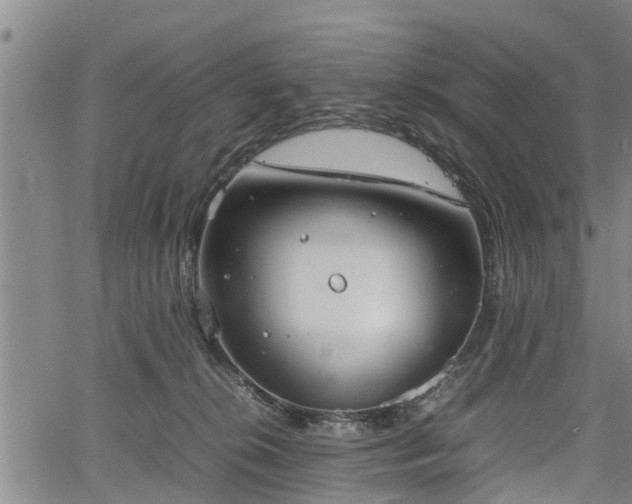 X0000067520276200604101334