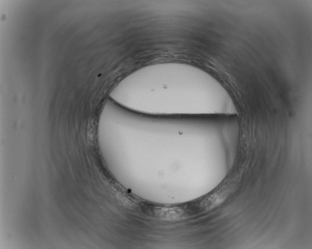 X0000067520277200604101334