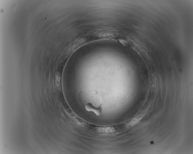 X0000067520281200604101334