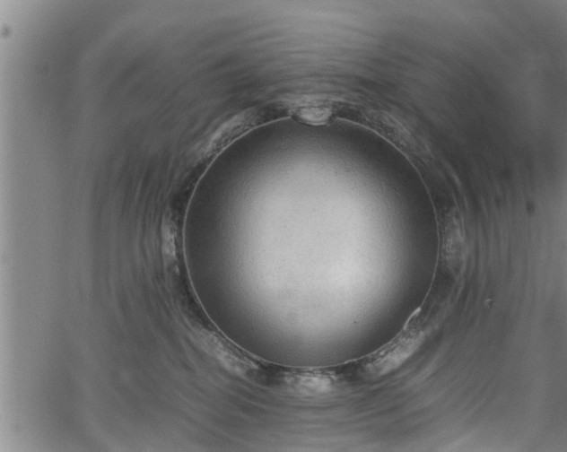 X0000067520282200604101334