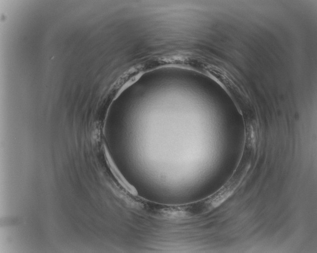 X0000067520284200604101334