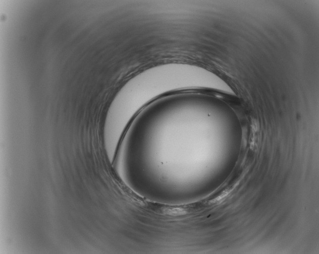 X0000067520287200604101334