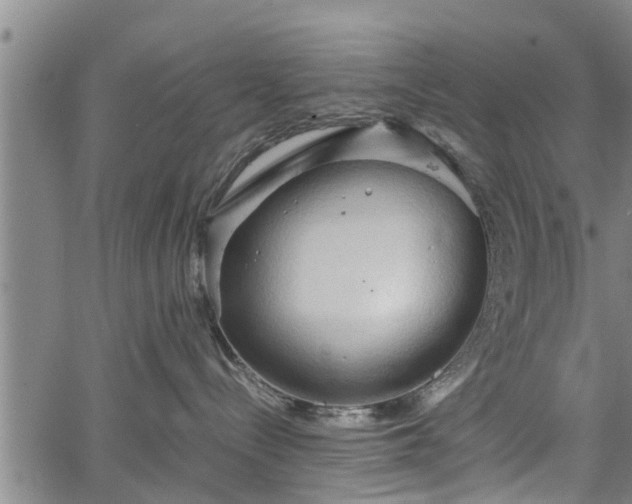 X0000067520288200604101334