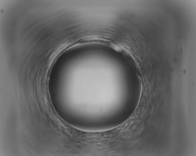 X0000067520289200604101333