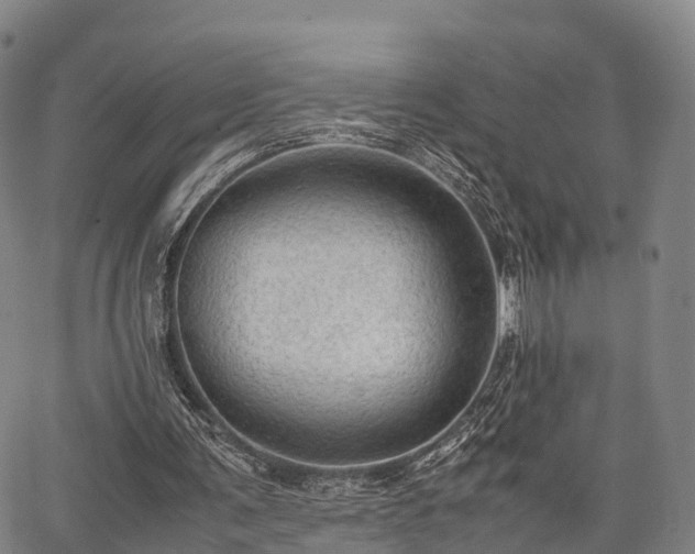 X0000067520291200604101333