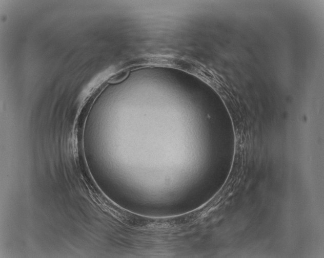 X0000067520294200604101333