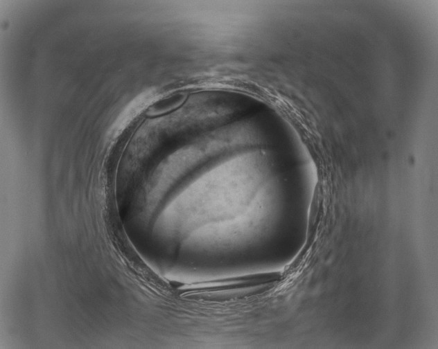 X0000067520295200604101333