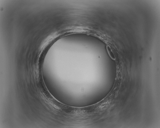 X0000067520296200604101333