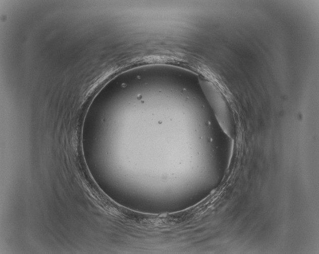 X0000067520297200604101333