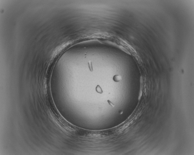 X0000067520298200604101333