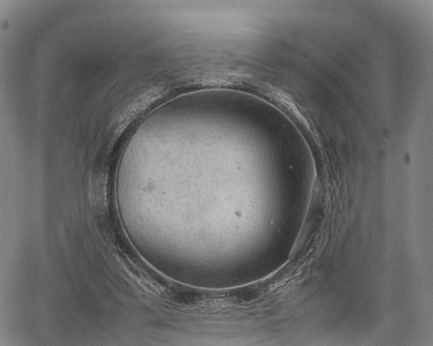 X0000067520299200604101333