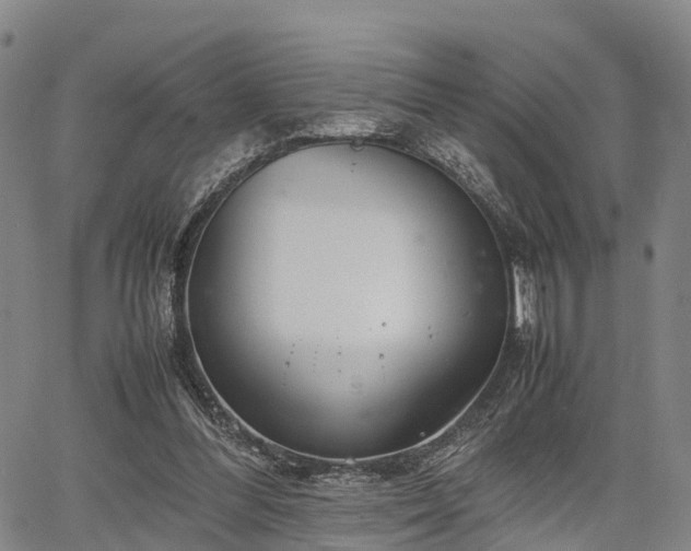 X0000067520300200604101333