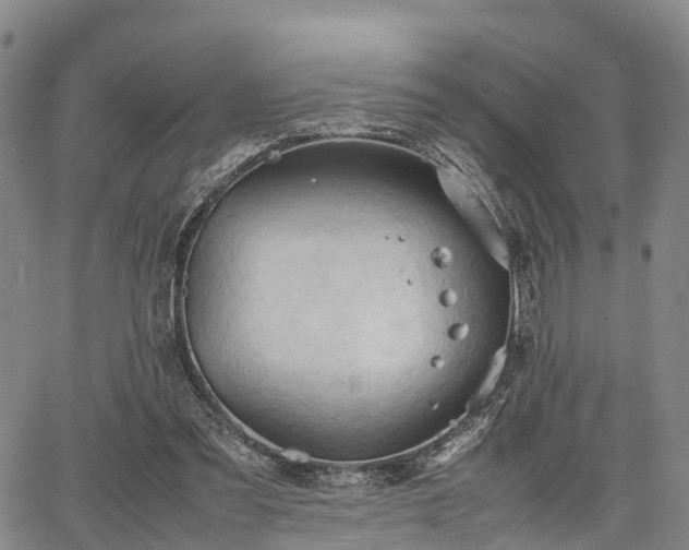 X0000067520301200604101333