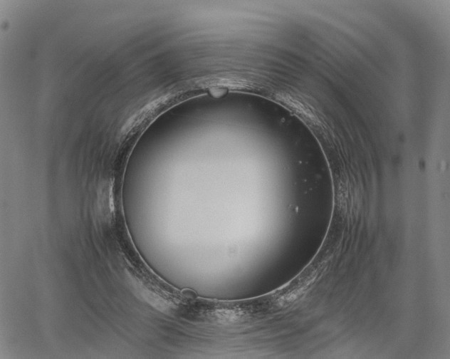 X0000067520302200604101333