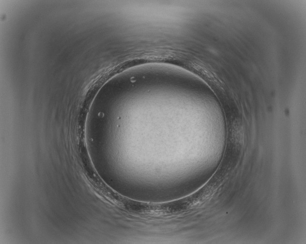 X0000067520303200604101333