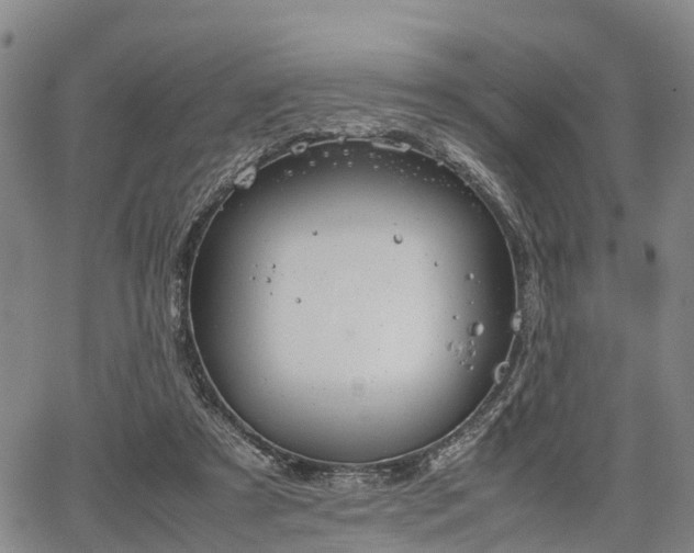 X0000067520305200604101333