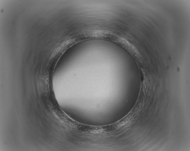 X0000067520306200604101333