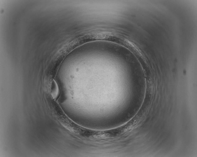 X0000067520307200604101333