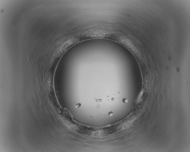 X0000067520309200604101333