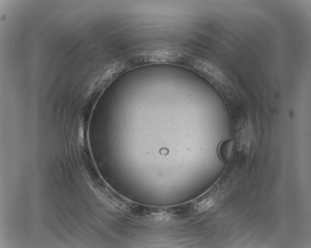 X0000067520310200604101333