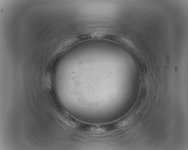 X0000067520311200604101333