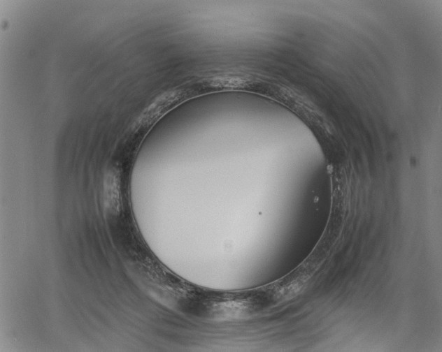 X0000067520312200604101333