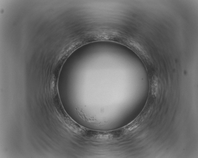 X0000067520314200604101333