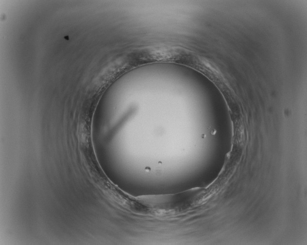 X0000067520317200604101333