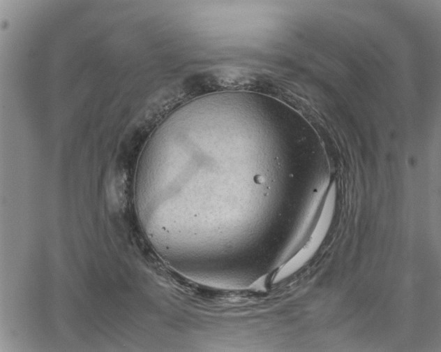 X0000067520319200604101333