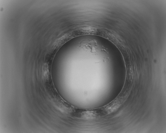 X0000067520320200604101333