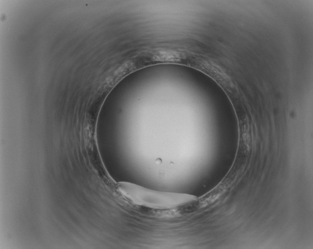 X0000067520322200604101333