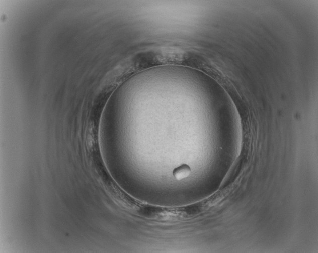 X0000067520323200604101333