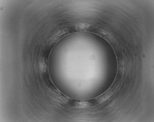 X0000067520324200604101333