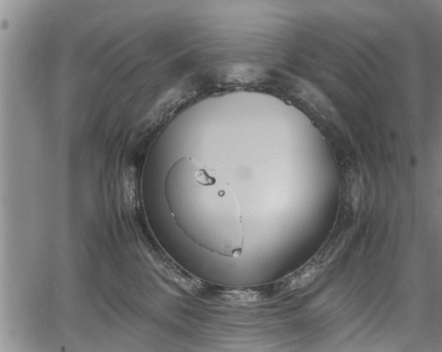 X0000067520328200604101333