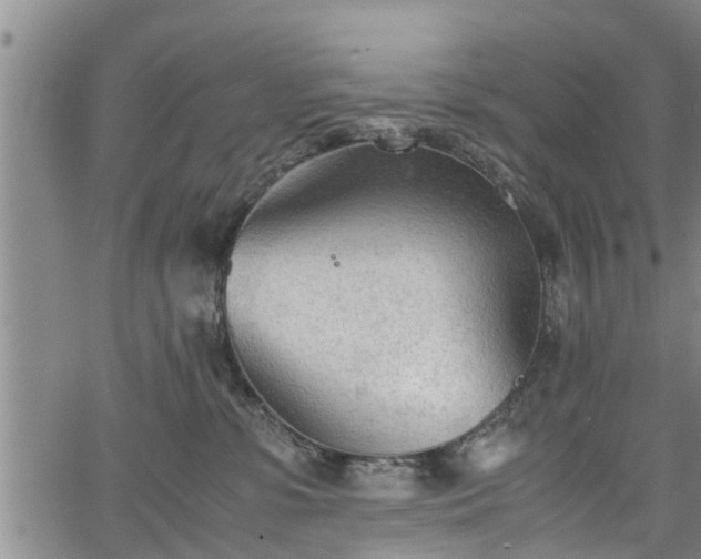 X0000067520331200604101333