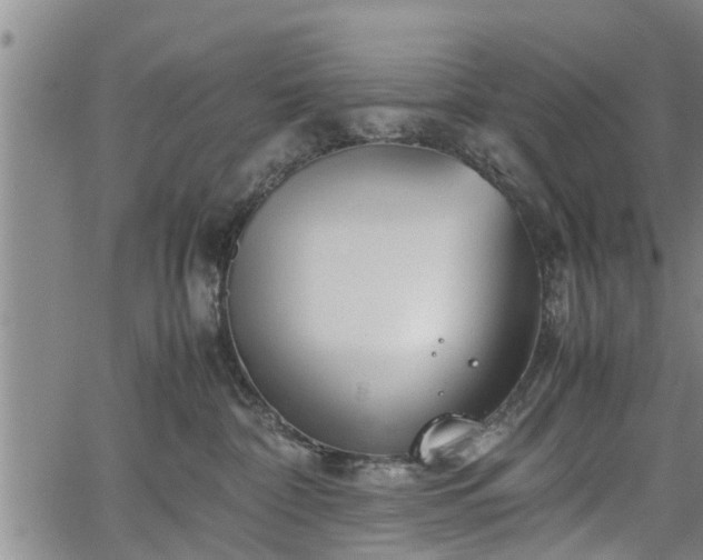 X0000067520332200604101333