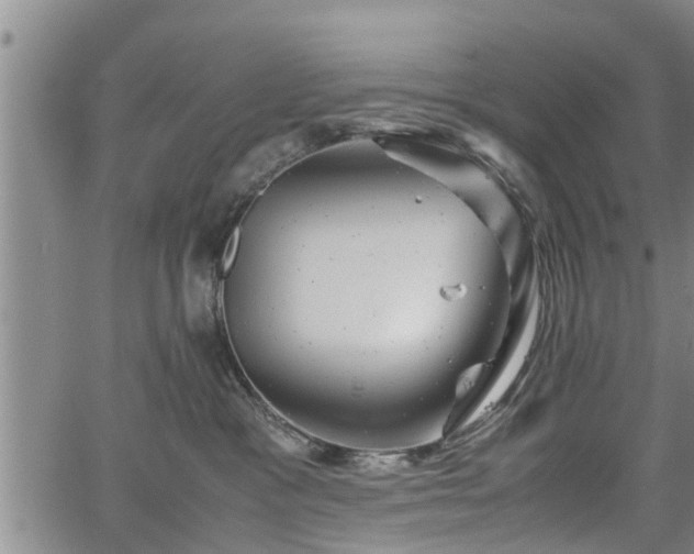 X0000067520333200604101333