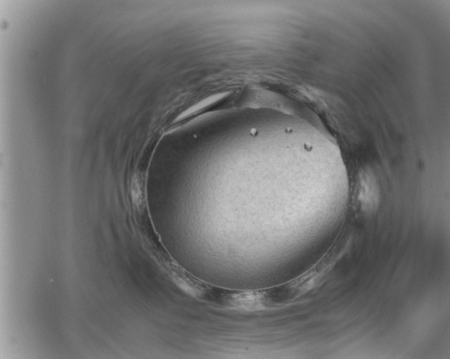 X0000067520335200604101333