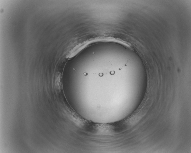 X0000067520336200604101333