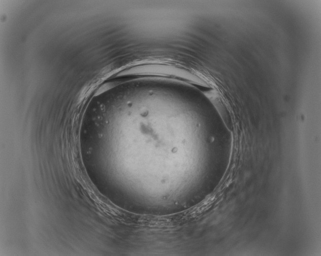 X0000067520337200604101332