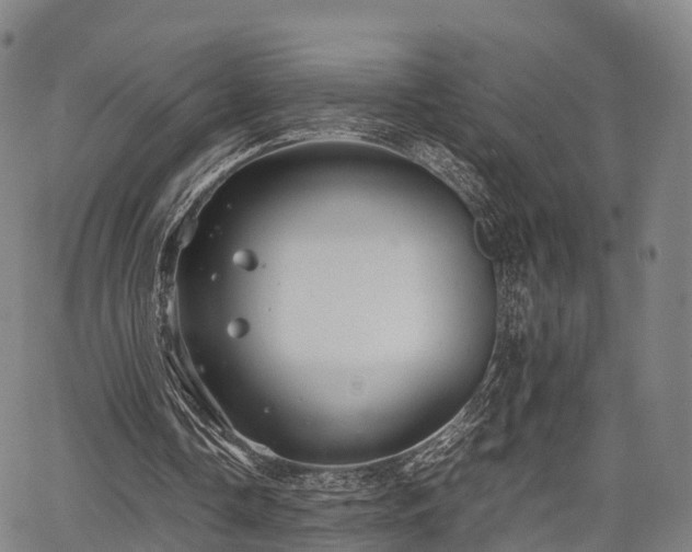 X0000067520338200604101332