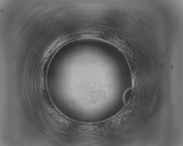 X0000067520339200604101332