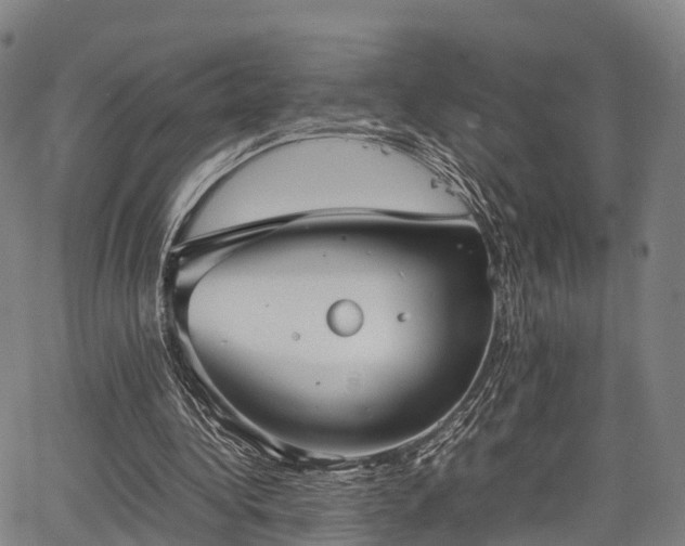 X0000067520340200604101332