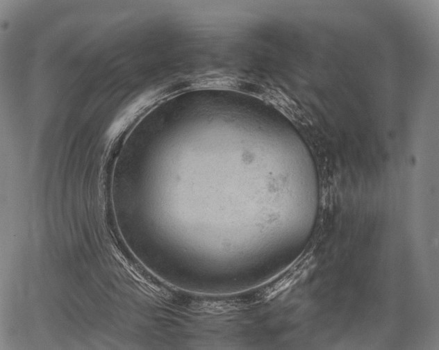 X0000067520341200604101332