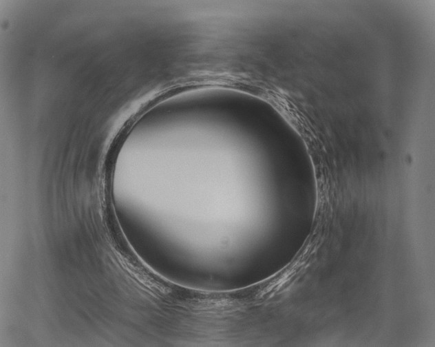 X0000067520342200604101332