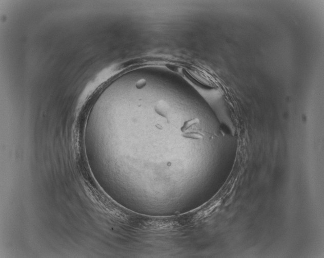 X0000067520343200604101332