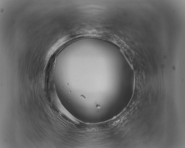 X0000067520344200604101332