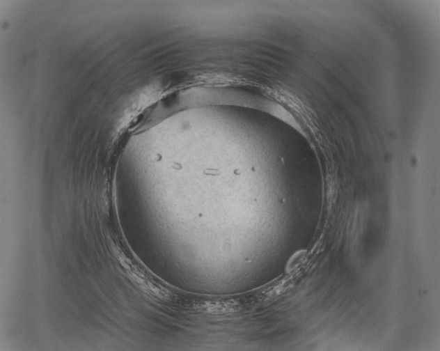 X0000067520345200604101332