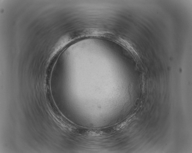 X0000067520346200604101332